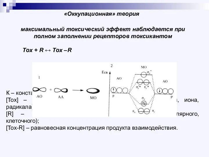 максимальный токсический эффект наблюдается при полном заполнении рецепторов токсикантом «Оккупационная» теория