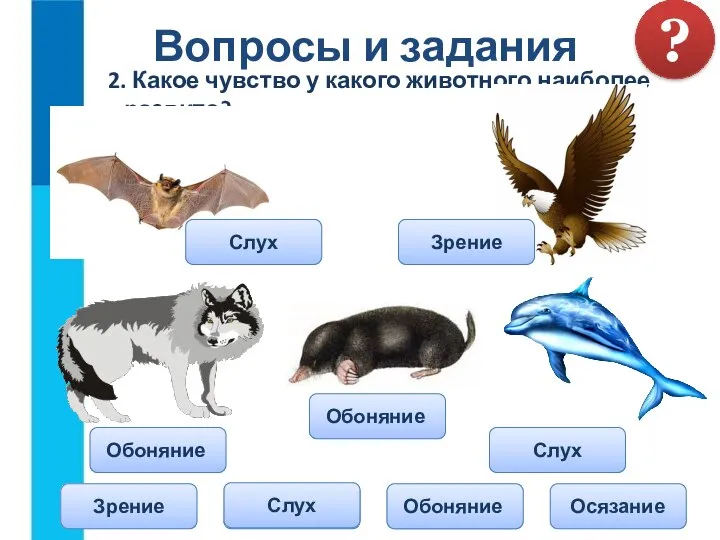 2. Какое чувство у какого животного наиболее развито? Вопросы и задания