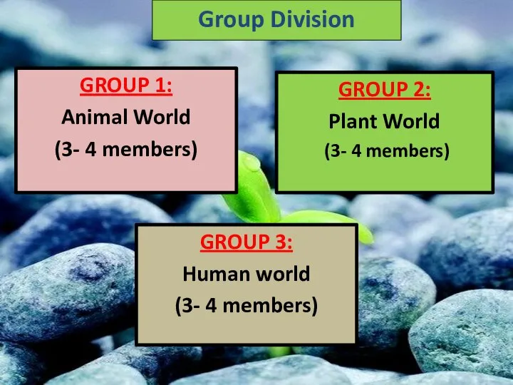 Group Division GROUP 1: Animal World (3- 4 members) GROUP 2: