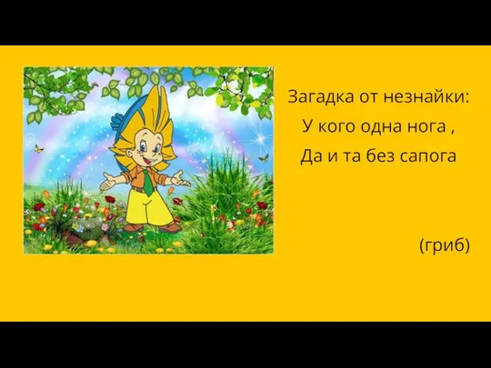 Загадка от незнайки: У кого одна нога , Да и та без сапога (гриб)