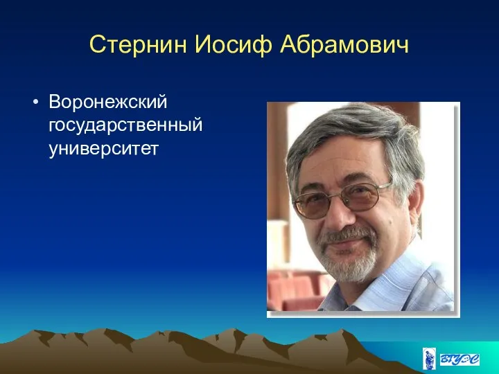 Стернин Иосиф Абрамович Воронежский государственный университет