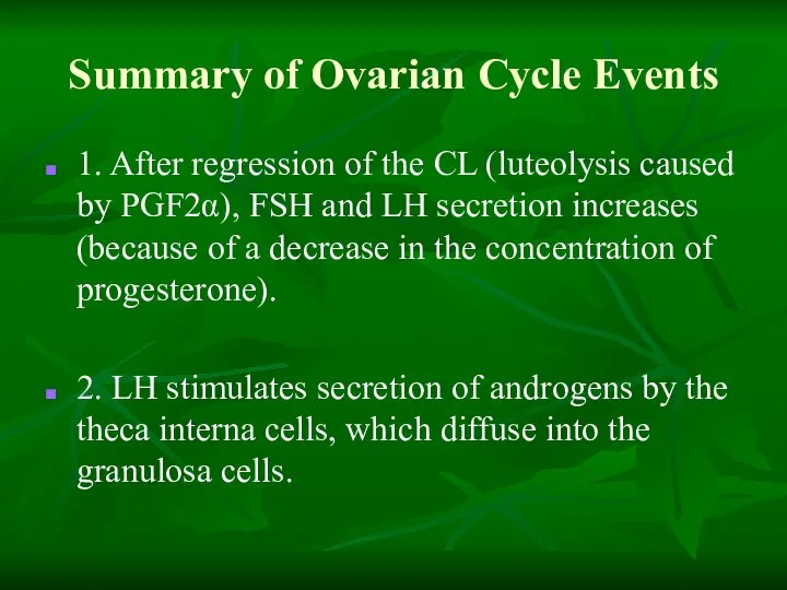 Summary of Ovarian Cycle Events 1. After regression of the CL