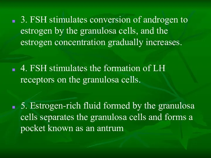 3. FSH stimulates conversion of androgen to estrogen by the granulosa