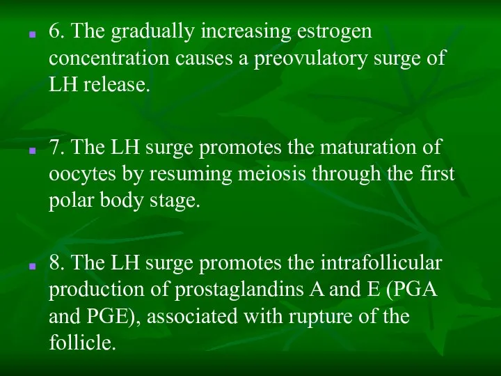 6. The gradually increasing estrogen concentration causes a preovulatory surge of