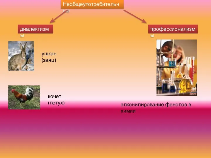 Необщеупотребительные диалектизмы ушкан (заяц) кочет (петух) профессионализмы алкенилирование фенолов в химии