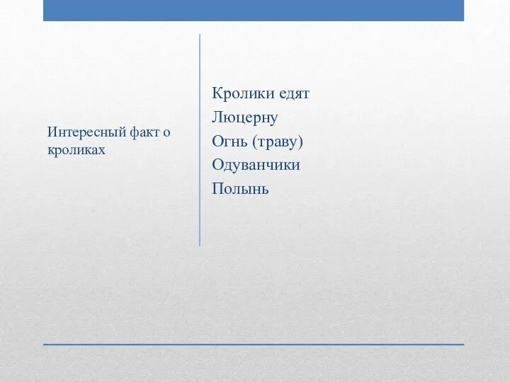 Кролики едят Люцерну Огнь (траву) Одуванчики Полынь Интересный факт о кроликах