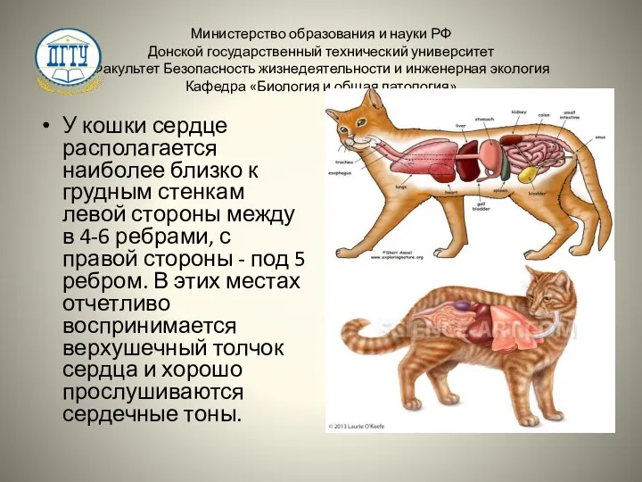 Министерство образования и науки РФ Донской государственный технический университет Факультет Безопасность