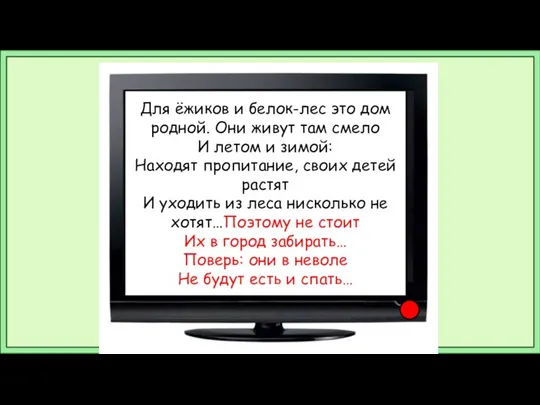 Для ёжиков и белок-лес это дом родной. Они живут там смело