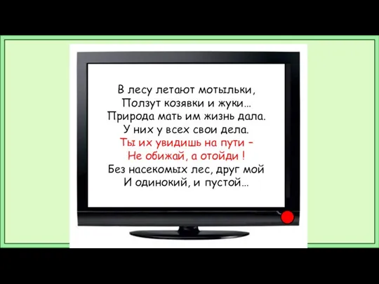 В лесу летают мотыльки, Ползут козявки и жуки… Природа мать им