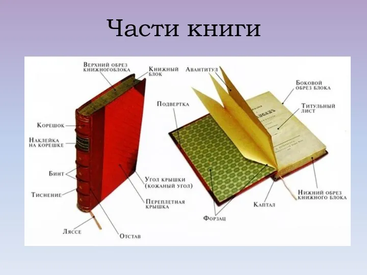 Части книги