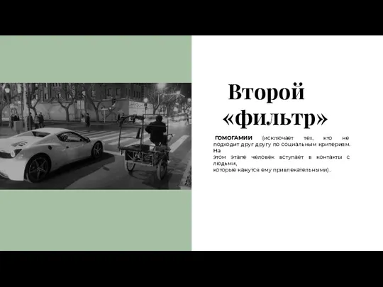 Второй «фильтр» ГОМОГАМИИ (исключает тех, кто не подходит друг другу по