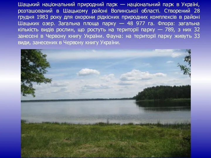 Шацький національний природний парк — національний парк в Україні, розташований в