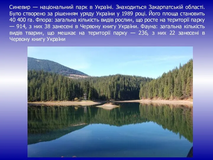 Синевир — національний парк в Україні. Знаходиться Закарпатській області. Було створено