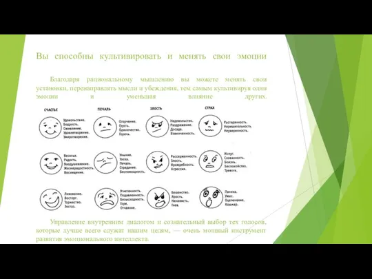 Вы способны культивировать и менять свои эмоции Благодаря рациональному мышлению вы