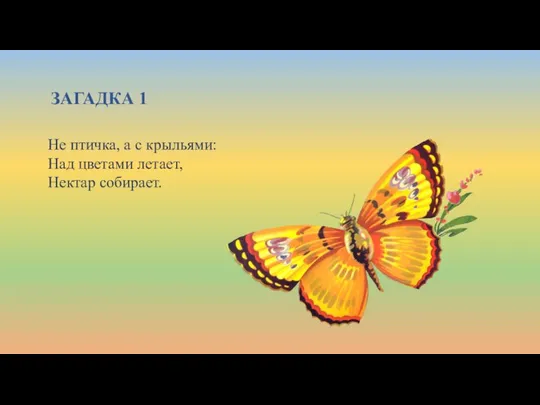 ЗАГАДКА 1 Не птичка, а с крыльями: Над цветами летает, Нектар собирает.