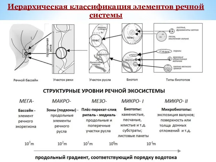 Иерархическая классификация элементов речной системы