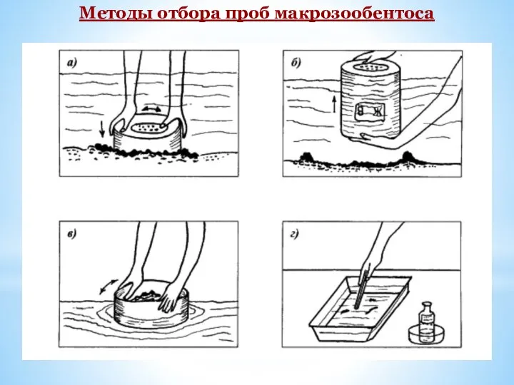 Методы отбора проб макрозообентоса