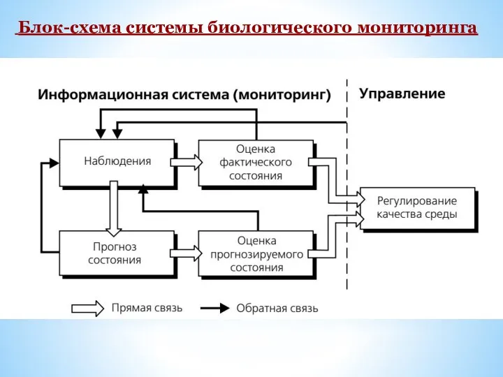 Блок-схема системы биологического мониторинга