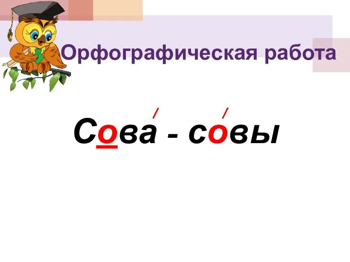 Орфографическая работа Сова - совы