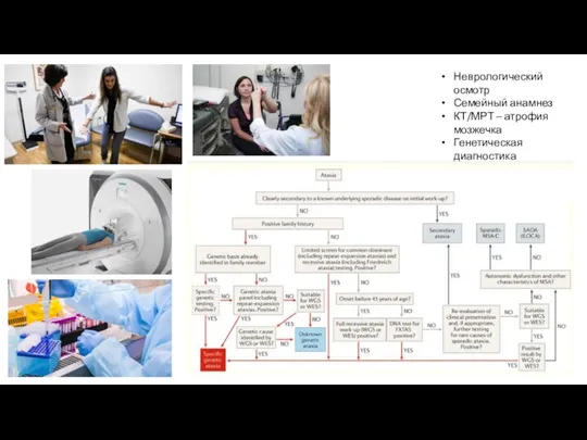 Неврологический осмотр Семейный анамнез КТ/МРТ – атрофия мозжечка Генетическая диагностика