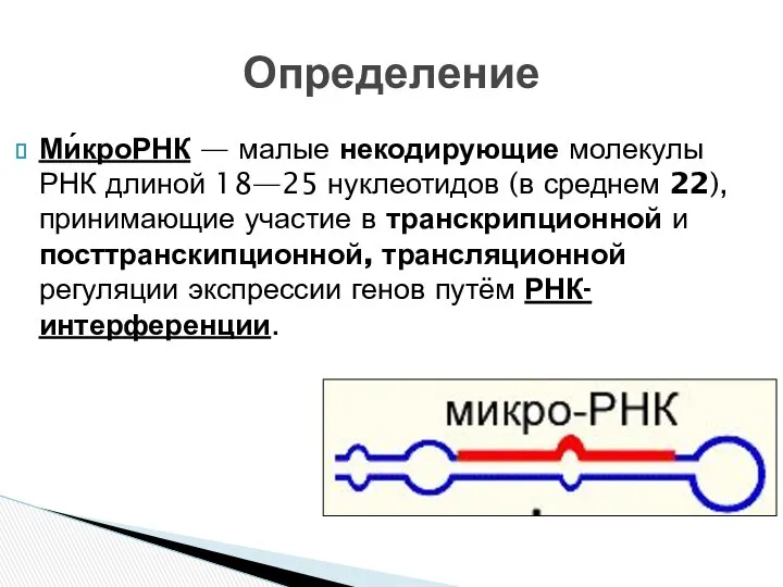 Ми́кроРНК — малые некодирующие молекулы РНК длиной 18—25 нуклеотидов (в среднем