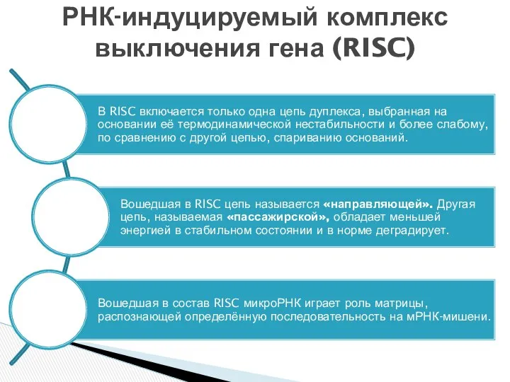 РНК-индуцируемый комплекс выключения гена (RISC)