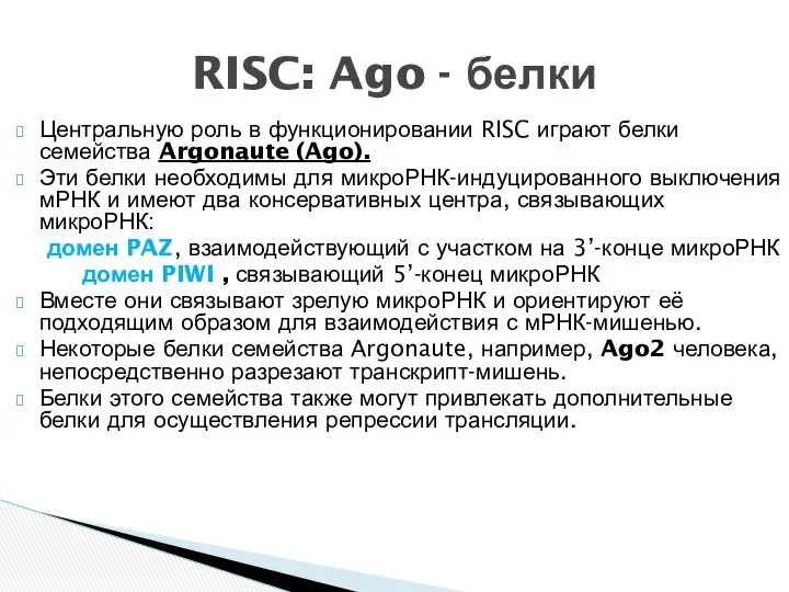 Центральную роль в функционировании RISC играют белки семейства Argonaute (Ago). Эти