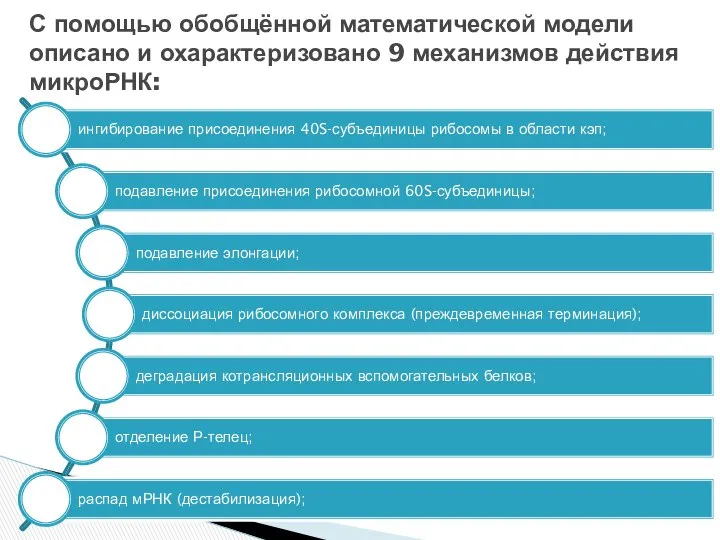 С помощью обобщённой математической модели описано и охарактеризовано 9 механизмов действия микроРНК: