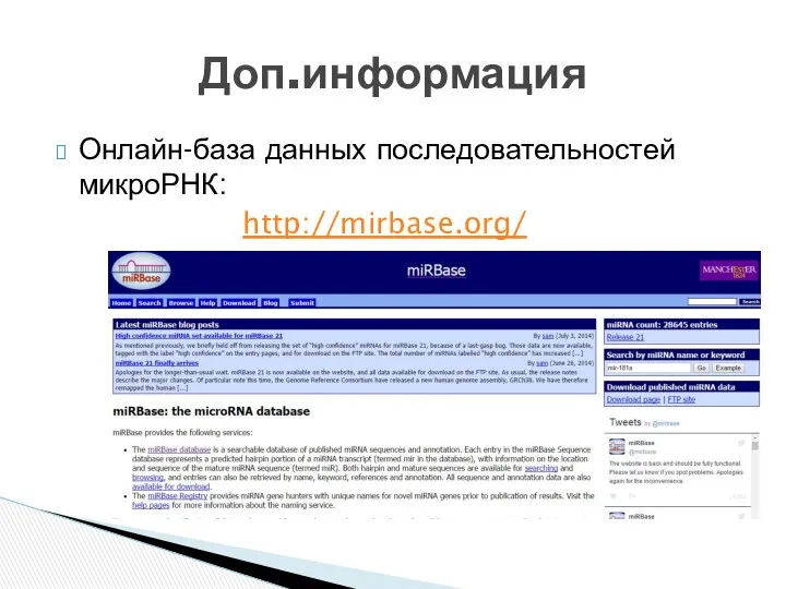 Онлайн-база данных последовательностей микроРНК: http://mirbase.org/ Доп.информация