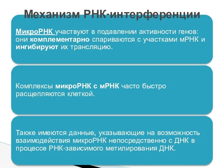 Механизм РНК-интерференции