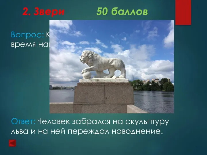 2. Звери 50 баллов Вопрос: Как лев спас петербуржца во время