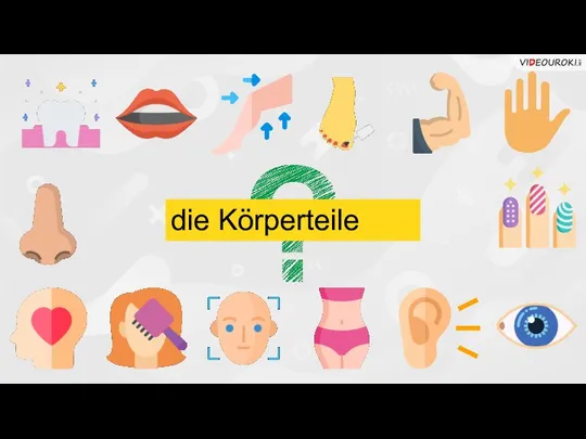 die Körperteile