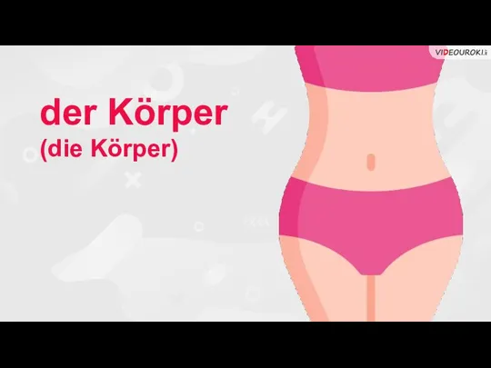 der Körper (die Körper)