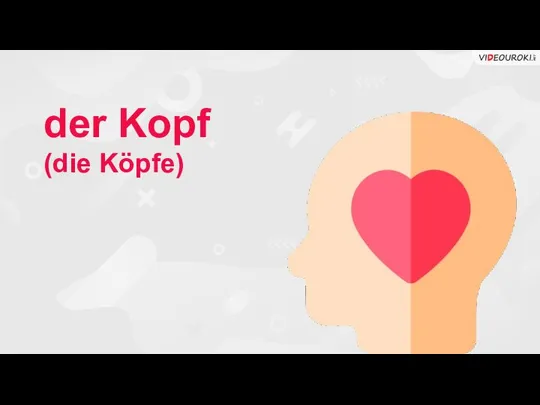 der Kopf (die Köpfe)