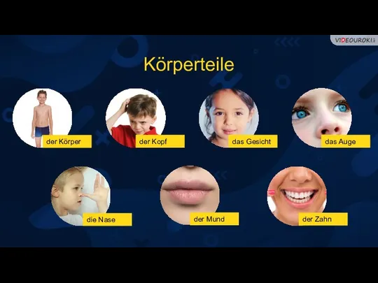 Körperteile