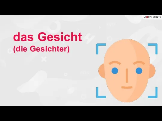 das Gesicht (die Gesichter)