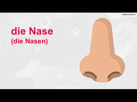 die Nase (die Nasen)