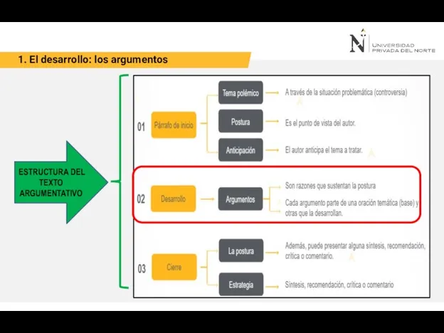 1. El desarrollo: los argumentos ESTRUCTURA DEL TEXTO ARGUMENTATIVO