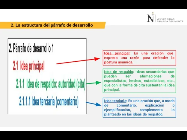 2. La estructura del párrafo de desarrollo Idea principal: Es una