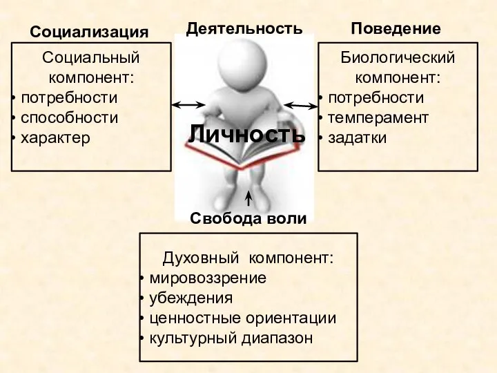 Личность Социальный компонент: потребности способности характер Биологический компонент: потребности темперамент задатки