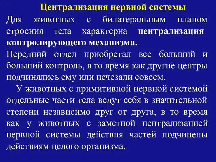 Централизация нервной системы Для животных с билатеральным планом строения тела характерна