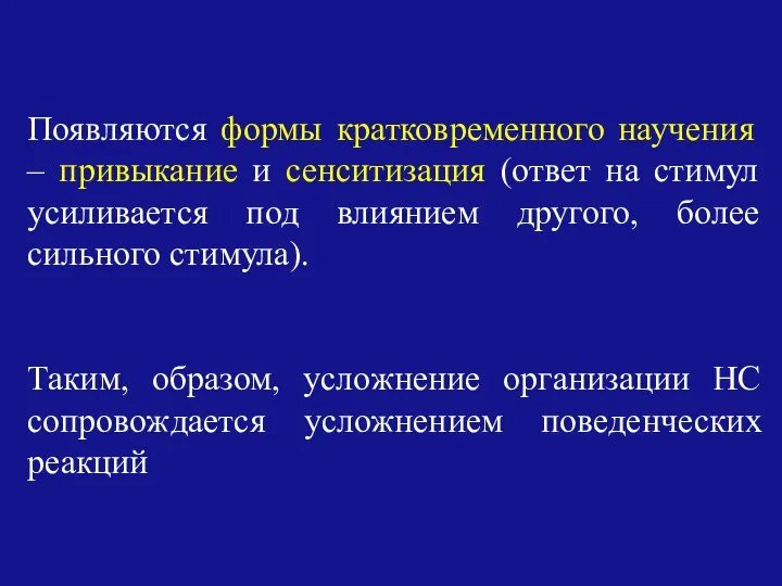 Появляются формы кратковременного научения – привыкание и сенситизация (ответ на стимул