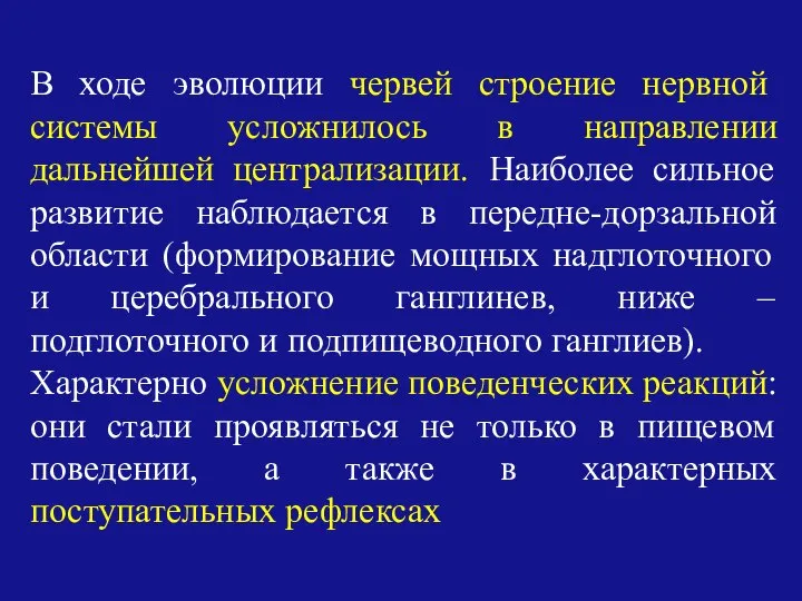 В ходе эволюции червей строение нервной системы усложнилось в направлении дальнейшей