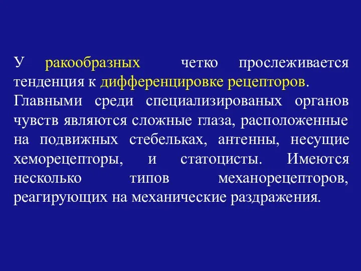 У ракообразных четко прослеживается тенденция к дифференцировке рецепторов. Главными среди специализированых