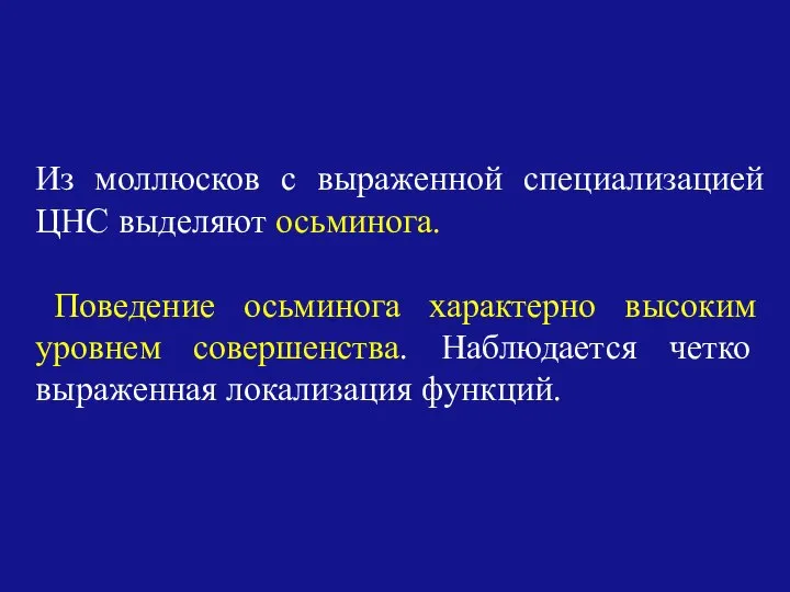 Из моллюсков с выраженной специализацией ЦНС выделяют осьминога. Поведение осьминога характерно