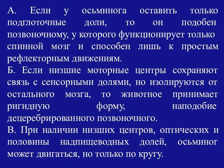 А. Если у осьминога оставить только подглоточные доли, то он подобен