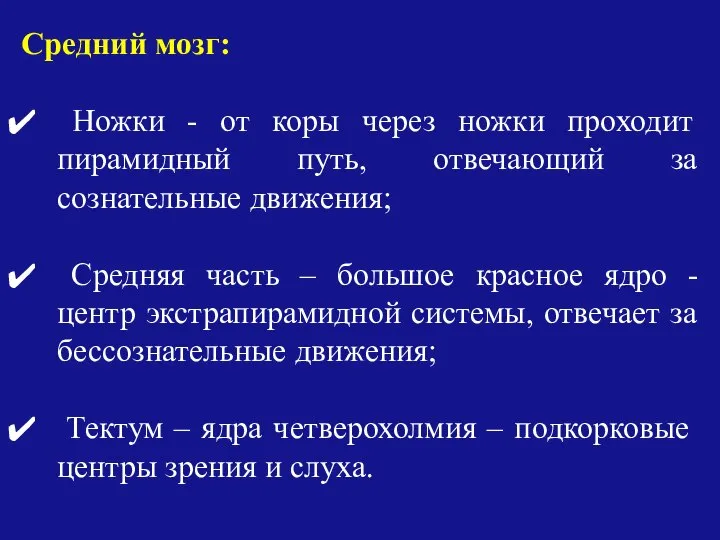 Средний мозг: Ножки - от коры через ножки проходит пирамидный путь,