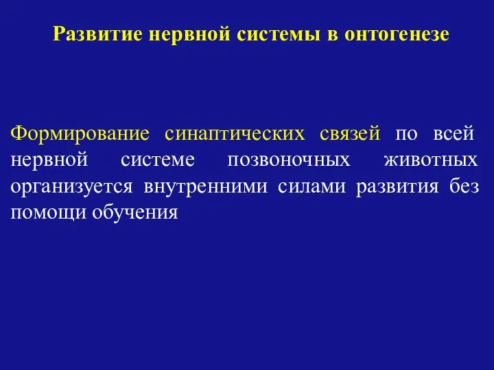 Развитие нервной системы в онтогенезе Формирование синаптических связей по всей нервной