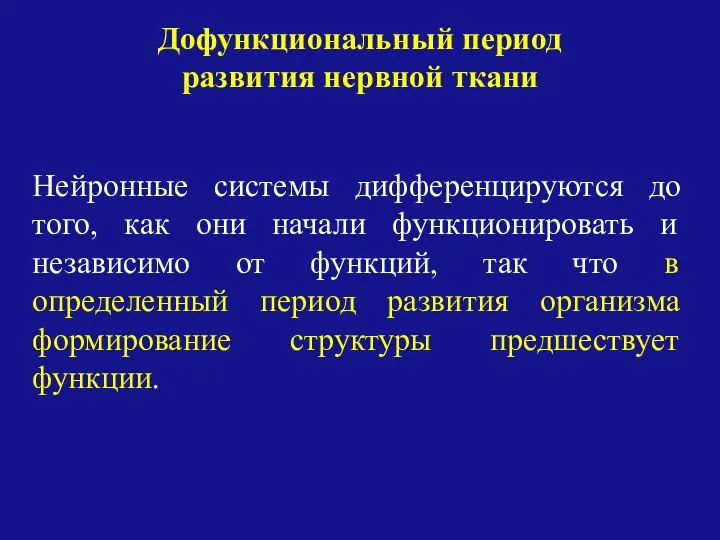 Нейронные системы дифференцируются до того, как они начали функционировать и независимо