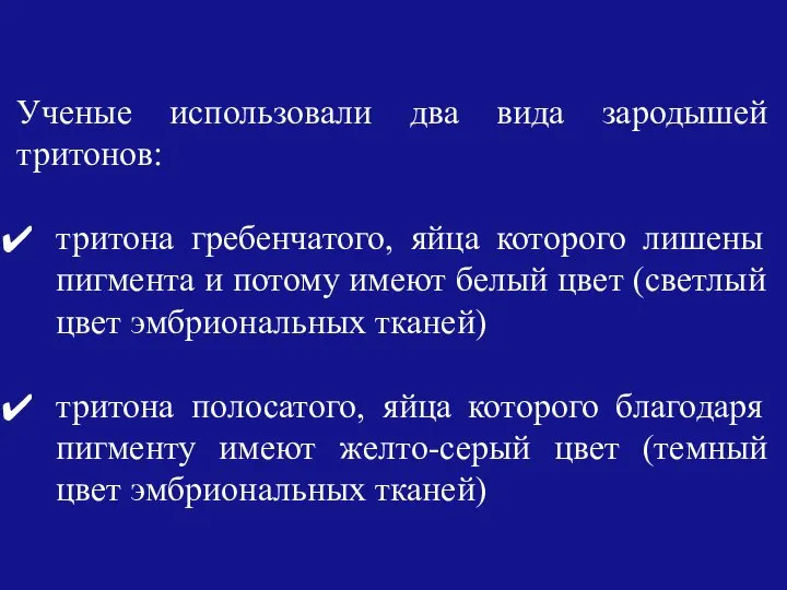 Ученые использовали два вида зародышей тритонов: тритона гребенчатого, яйца которого лишены